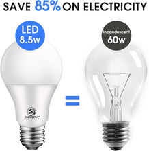 Cargar imagen en el visor de la galería, E ENERGETIC LIGHTING Bombillas LED de luz diurna A19, bombillas de luz de 8.5 W equivalentes a 60 vatios, no regulables, 6 paquetes A19