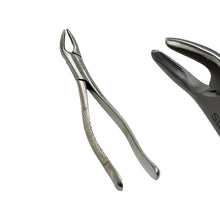 Cargar imagen en el visor de la galería, Pinzas Universales de Extracción Dental