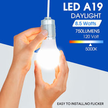 Cargar imagen en el visor de la galería, E ENERGETIC LIGHTING Bombillas LED de luz diurna A19, bombillas de luz de 8.5 W equivalentes a 60 vatios, no regulables, 6 paquetes A19