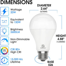 Cargar imagen en el visor de la galería, E ENERGETIC LIGHTING Paquete de 4 bombillas LED equivalentes a 150 W, bombilla A21 superbrillante, luz blanca cálida de 3000 K, bombilla LED de 2600 lúmenes altos, no regulable, base E26, A19