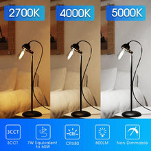 Cargar imagen en el visor de la galería, E ENERGETIC LIGHTING ST58/ST18, bombillas de filamento LED, 3CCT, 2700K/4000K/5000K, alto brillo, 7W, equivalente a 60 W, vidrio transparente clásico, E26, paquete de 4 A19