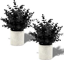 Cargar imagen en el visor de la galería, 2 Pack Pequeñas plantas artificiales de eucalipto falso negro en macetas para decoraciones de Halloween