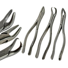 Cargar imagen en el visor de la galería, Pinzas Universales de Extracción Dental
