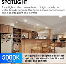 Cargar imagen en el visor de la galería, E ENERGETIC LIGHTING PAR38 - Bombilla LED para exteriores, luz diurna de 5000 K, equivalente a 90 W, clasificación húmeda, 9 A19 00 lm, base E26, no regulable, UL, paquete de 12 bombillas de inundación A19