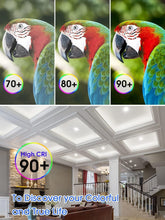 Cargar imagen en el visor de la galería, Paquete de 6 luces LED empotrables de 6 pulgadas con luz nocturna, luces de lata regulables con borde deflector, 9 W = 85 W, blanco cálido 3000 K, retrofit de 700 lúmenes, CRI 90, clasificación A19