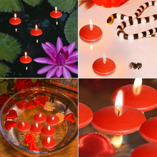 Cargar imagen en el visor de la galería, Centros de mesa pulga 1.5 L04