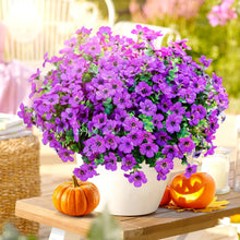 Cargar imagen en el visor de la galería, Regalos de rosas para el Día de San Valentín
