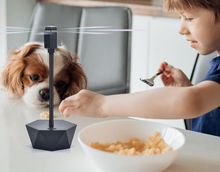 Cargar imagen en el visor de la galería, GUIDOT Ventiladores de insectos para mesas de comida