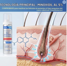 Cargar imagen en el visor de la galería, Tratamiento en espuma con minoxidil al 5 % para el crecimiento del cabello para hombres y mujeres.