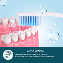 Cargar imagen en el visor de la galería, Paquete de cepillos de dientes a granel envueltos individualmente de alta calidad