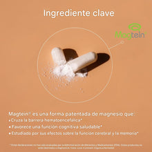 Cargar imagen en el visor de la galería, Cápsulas de magnesio L threonate, suplemento de alta absorción, 100 cápsulas