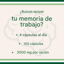 Cargar imagen en el visor de la galería, Cápsulas de magnesio L threonate, suplemento de alta absorción, 100 cápsulas