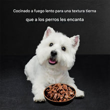 Cargar imagen en el visor de la galería, Cesar Filets en Gravy - Alimento húmedo para perros 1.75 oz
