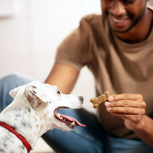 Cargar imagen en el visor de la galería, Milk-Bone - Premios para perro, suaves y masticables Q1