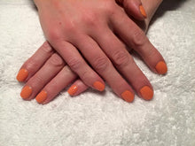 Cargar imagen en el visor de la galería, Is Mai Tai Crooked (GC H68)