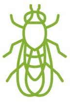 Cargar imagen en el visor de la galería, BUGGINS Repelente de insectos natural 4.0 fl oz NDP8