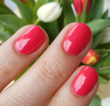 Cargar imagen en el visor de la galería, She's a Bad Muffuletta! (GC N56)