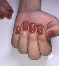 Cargar imagen en el visor de la galería, Chocolate Moose (GC C89)