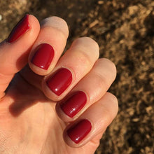 Cargar imagen en el visor de la galería, Fishnet Stockings Gel