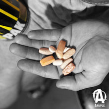 Cargar imagen en el visor de la galería, Suplemento multivitamínico Animal Pak Universal Nutrition, 44 paquetes NDP3