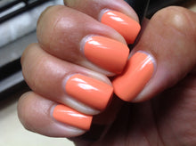 Cargar imagen en el visor de la galería, Is Mai Tai Crooked (GC H68)