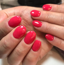 Cargar imagen en el visor de la galería, She's a Bad Muffuletta! (GC N56)