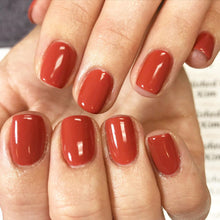 Cargar imagen en el visor de la galería, My Solar Clock is Ticking (GC P38)