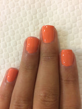 Cargar imagen en el visor de la galería, Is Mai Tai Crooked (GC H68)