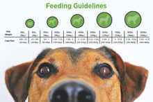 Cargar imagen en el visor de la galería, Alimento para perros Bolsa de 5 lb. NDP 9