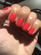 Cargar imagen en el visor de la galería, Cajun Shrimp (GC L64)