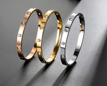 Cargar imagen en el visor de la galería, Pulsera ovalada con piedra de acero inoxidable con bisagras y pulseras de cristal NDP44