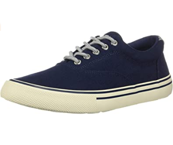 Men's striper storm cvo canvas 2024 duck sneaker