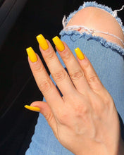 Cargar imagen en el visor de la galería, Exotic birds do not tweet (GC F91)