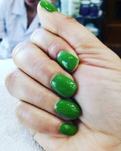 Cargar imagen en el visor de la galería, I’m sooo swamped (GC N60)