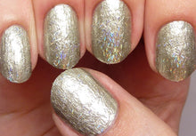 Cargar imagen en el visor de la galería, Is This Star Taken? (NL G43) - Liquidación!