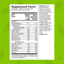 Cargar imagen en el visor de la galería, Multivitamínicos gomitas completo, para niños 180 unidades Flintstones