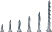Cargar imagen en el visor de la galería, Kit de tornillos de madera de cabeza plana, 150 piezas NDP12