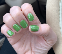 Cargar imagen en el visor de la galería, I’m sooo swamped (GC N60)