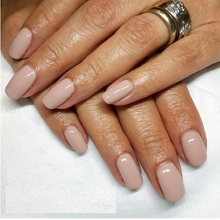 Cargar imagen en el visor de la galería, Tiramisu For Two (NL V28)