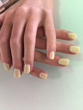 Cargar imagen en el visor de la galería, One Chic Chick (GC T73)