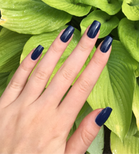 Cargar imagen en el visor de la galería, Get ryd-of-thym blues (IS L16)