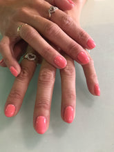 Cargar imagen en el visor de la galería, Got Myself into a Jam-balaya (GC N57)