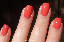 Cargar imagen en el visor de la galería, Sunday Funday (508/839)