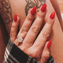 Cargar imagen en el visor de la galería, Can’t tame wild thing (GC HRH47)