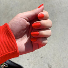 Cargar imagen en el visor de la galería, My chihuahua doesn’t bite anymore (NL M89)