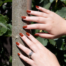 Cargar imagen en el visor de la galería, Playing Koi (996)