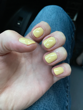 Cargar imagen en el visor de la galería, Bee-Hind The Scenes (NL H005)