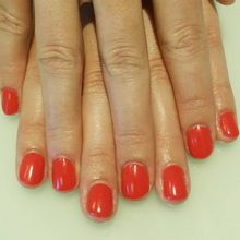 Cargar imagen en el visor de la galería, My Chihuahua Bites (GC M21)