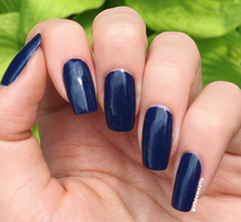 Cargar imagen en el visor de la galería, Get ryd-of-thym blues (IS L16)