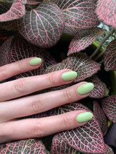 Cargar imagen en el visor de la galería, How does your zen garden grow Gel (GC H65)